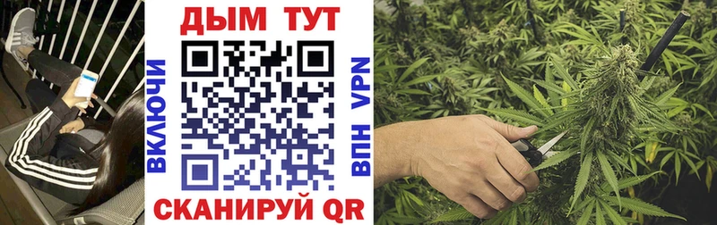 Купить закладку Гремячинск blacksprut сайт  Кокаин  МЕФ  СК  Конопля  ГАШ 