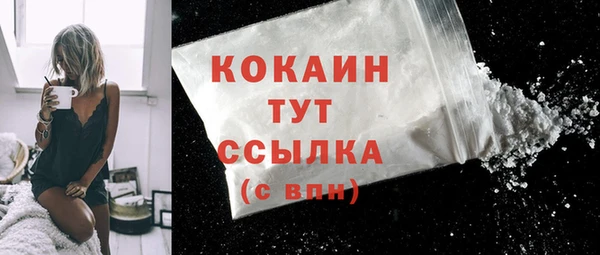 гашик Арсеньев