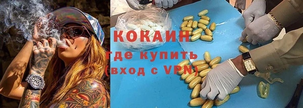 гашик Арсеньев
